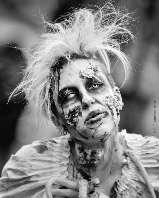 Marche_zombies_2014_3